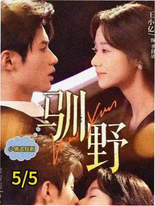 老街灯影 年代剧免费播放